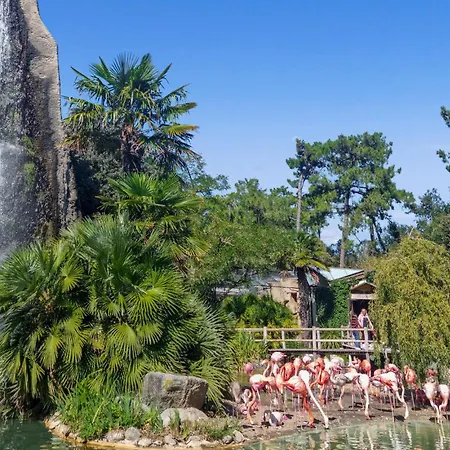 2 Bedroom Cozy In Сasa de vacaciones *