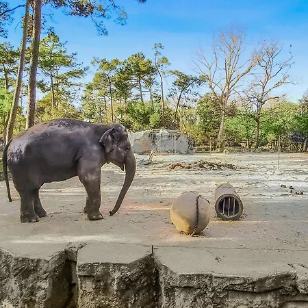 Prázdninový dům 2 Bedroom Cozy In Royan